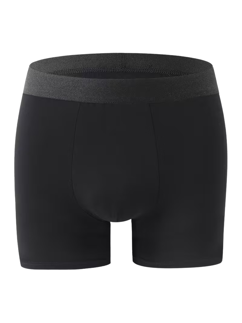 Boxer All Negro