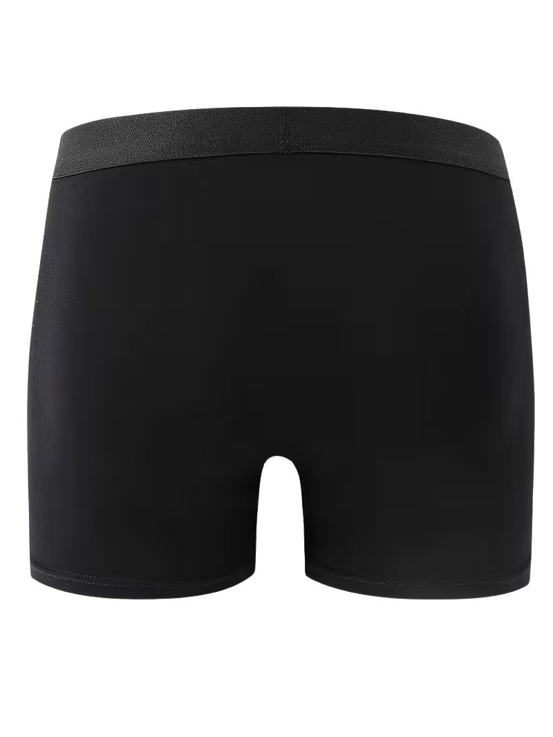 Boxer All Negro