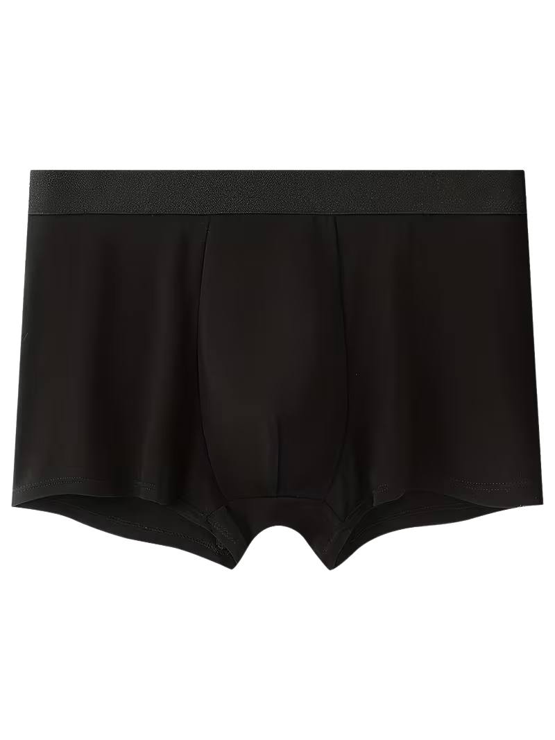 Boxer All Negro