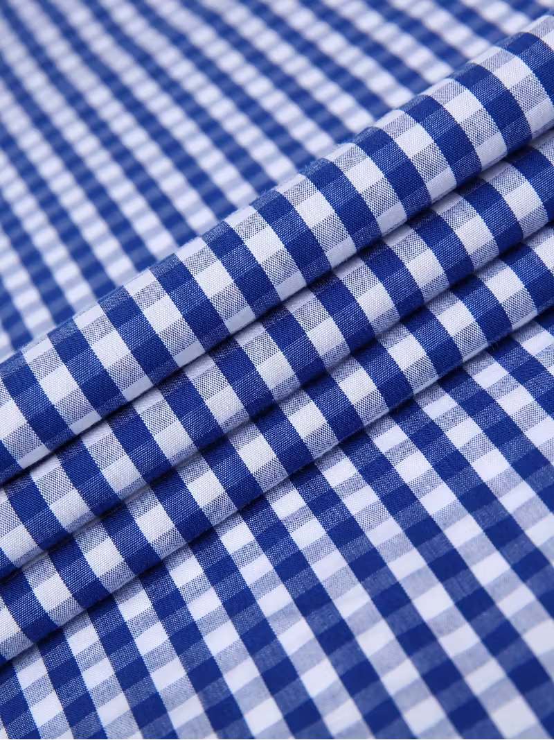 Camisa Gingham Azul